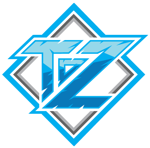 TDZ Design logo